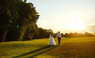 Mutlu gelin ve damat gün batımına gidiyor. Gün batımında harika bir çift. Gelin ve damat, gün batımında yeşil tarlanın arka planına karşı ellerinde olacak. Birlikte. Düğün.. 