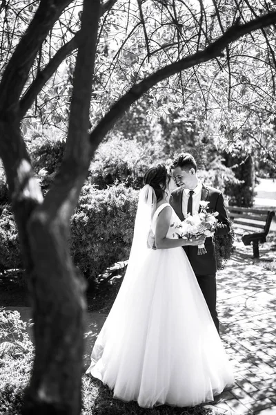 Foto Preto Branco Recém Casados Emotivos Alegres Que Divertem Casal — Fotografia de Stock