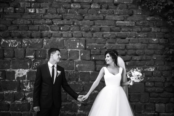 一张白纸黑字的照片 照片上的新婚夫妇兴高采烈 彼此欢愉 迷人的笑着的新婚夫妇 漂亮的新娘和时髦的新郎 浪漫的一刻 在一起 — 图库照片