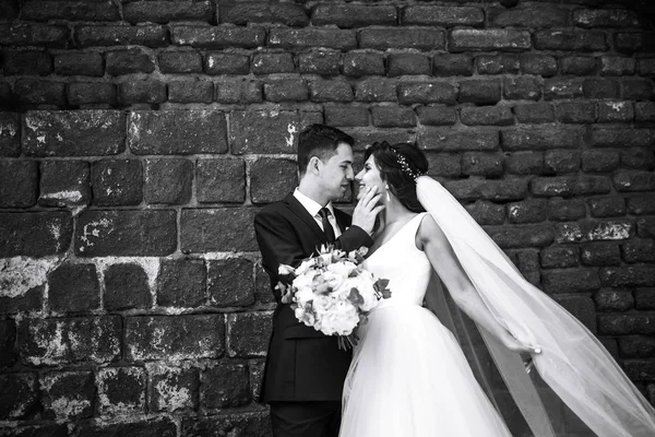 一张白纸黑字的照片 照片上的新婚夫妇兴高采烈 彼此欢愉 迷人的笑着的新婚夫妇 漂亮的新娘和时髦的新郎 浪漫的一刻 在一起 — 图库照片