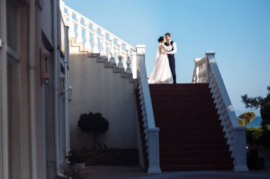 Gelin ve damat merdivenlerin basamaklarında. Zarif, şık, genç bir çift merdivenlerde sarılıp eğleniyor. Yeni evliler açık havada merdivenlerde poz veriyorlar. Birlikte. Düğün..