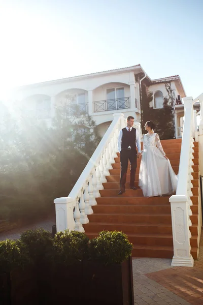 Menyasszony Vőlegény Lépcsőn Elegáns Elegáns Fiatal Pár Ölelkezik Élvezik Egymást — Stock Fotó