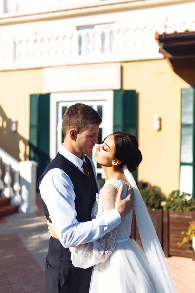 Recém Casados Abraçam Ternamente Beijam Divertem Caminhada Amantes Casal Casamento — Fotografia de Stock