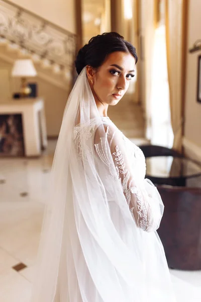 Hermosa Novia Vestido Novia Moda Con Largo Velo Lujo Novia — Foto de Stock