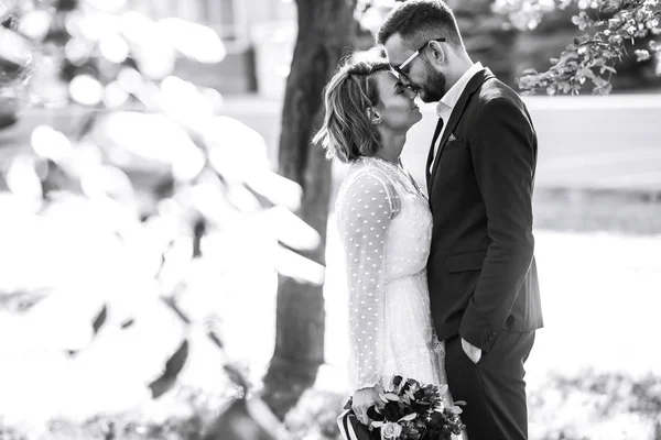 Schönes Schwarz Weiß Foto Von Braut Und Bräutigam Glückliches Paar — Stockfoto