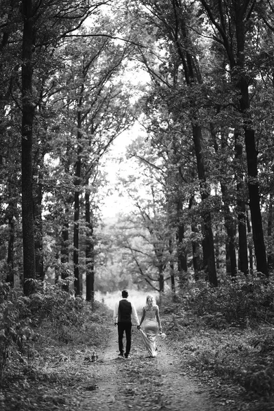 Black White Foto Newlyweds Walk Hand Hand Path Forest Back — Stock Photo, Image
