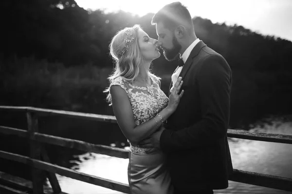 Foto Preto Branco Casal Elegante Recém Casados Posando Uma Ponte — Fotografia de Stock