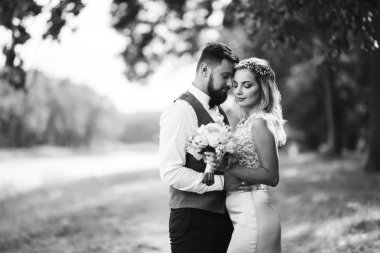 Gelin ve damadın şehvetli siyah beyaz foto 'su. Yeni evli çiftimiz düğün günlerinde parkta poz veriyormuş. Yakışıklı sakallı damat güzel gelini takdir eder ve öper. Birlikte.