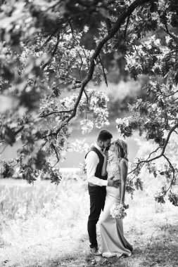 Gelin ve damadın şehvetli siyah beyaz foto 'su. Yeni evli çiftimiz düğün günlerinde parkta poz veriyormuş. Yakışıklı sakallı damat güzel gelini takdir eder ve öper. Birlikte.