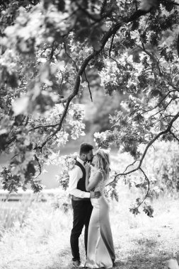 Gelin ve damadın şehvetli siyah beyaz foto 'su. Yeni evli çiftimiz düğün günlerinde parkta poz veriyormuş. Yakışıklı sakallı damat güzel gelini takdir eder ve öper. Birlikte.