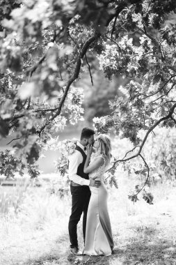 Gelin ve damadın şehvetli siyah beyaz foto 'su. Yeni evli çiftimiz düğün günlerinde parkta poz veriyormuş. Yakışıklı sakallı damat güzel gelini takdir eder ve öper. Birlikte.