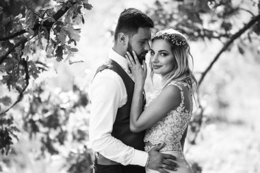 Gelin ve damadın şehvetli siyah beyaz foto 'su. Yeni evli çiftimiz düğün günlerinde parkta poz veriyormuş. Yakışıklı sakallı damat güzel gelini takdir eder ve öper. Birlikte.