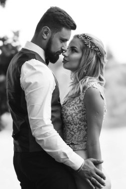 Gelin ve damadın şehvetli siyah beyaz foto 'su. Yeni evli çiftimiz düğün günlerinde parkta poz veriyormuş. Yakışıklı sakallı damat güzel gelini takdir eder ve öper. Birlikte.