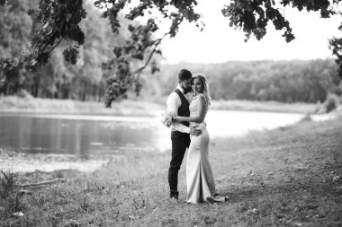 Gelin ve damadın şehvetli siyah beyaz foto 'su. Yeni evli çiftimiz düğün günlerinde parkta poz veriyormuş. Yakışıklı sakallı damat güzel gelini takdir eder ve öper. Birlikte.