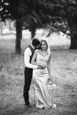 Gelin ve damadın şehvetli siyah beyaz foto 'su. Yeni evli çiftimiz düğün günlerinde parkta poz veriyormuş. Yakışıklı sakallı damat güzel gelini takdir eder ve öper. Birlikte.