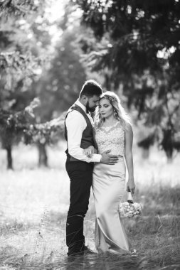 Gelin ve damadın şehvetli siyah beyaz foto 'su. Yeni evli çiftimiz düğün günlerinde parkta poz veriyormuş. Yakışıklı sakallı damat güzel gelini takdir eder ve öper. Birlikte.