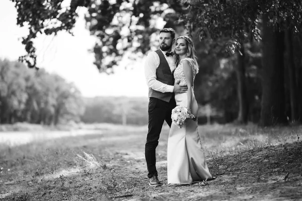 Sensual Black White Foto Bride Groom Stylish Couple Happy Newlyweds — Stock Photo, Image