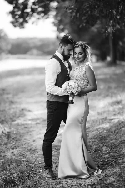 Sensual Black and white foto of bride and groom. Stylish couple of happy newlyweds posing in the park on their wedding day. Handsome bearded groom admires and kisses pretty bride. Together.