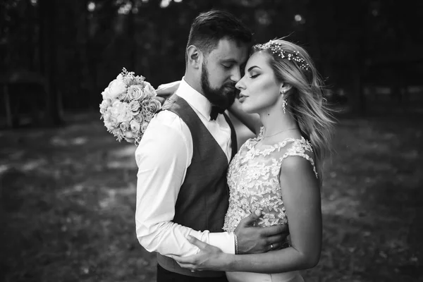 Sensual Foto Blanco Negro Los Novios Elegante Pareja Recién Casados — Foto de Stock