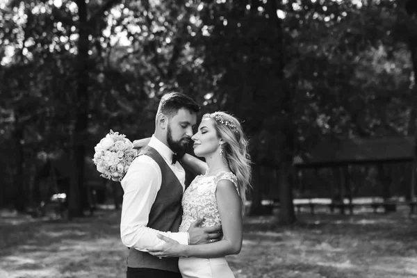 Sensual Black and white foto of bride and groom. Stylish couple of happy newlyweds posing in the park on their wedding day. Handsome bearded groom admires and kisses pretty bride. Together.