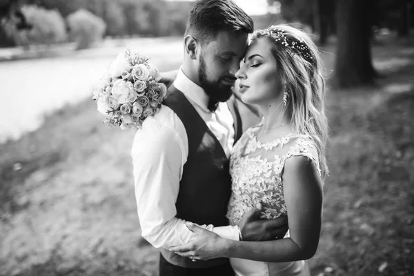 Sensual Foto Blanco Negro Los Novios Elegante Pareja Recién Casados —  Fotos de Stock