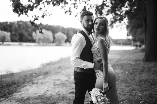 Sensual Preto Branco Foto Noiva Noivo Casal Elegante Recém Casados — Fotografia de Stock