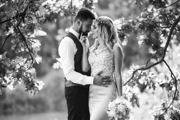 Sensual Black and white foto of bride and groom. Stylish couple of happy newlyweds posing in the park on their wedding day. Handsome bearded groom admires and kisses pretty bride. Together.
