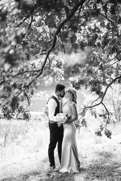 Sensual Preto Branco Foto Noiva Noivo Casal Elegante Recém Casados — Fotografia de Stock