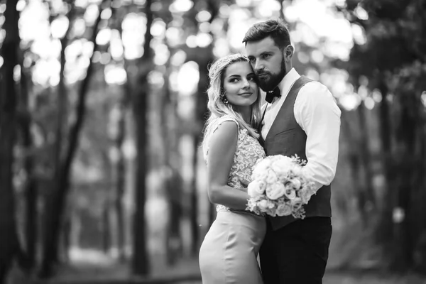 Sensuale Foto Bianco Nero Sposa Sposo Elegante Coppia Sposi Felici — Foto Stock