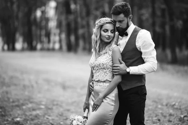 Sensual Preto Branco Foto Noiva Noivo Casal Elegante Recém Casados — Fotografia de Stock