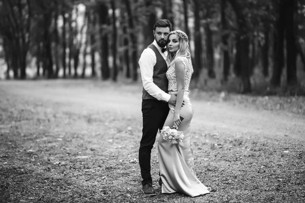 Sensual Black and white foto of bride and groom. Stylish couple of happy newlyweds posing in the park on their wedding day. Handsome bearded groom admires and kisses pretty bride. Together.