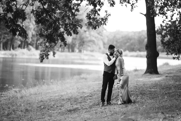 花嫁と新郎の官能的な黒と白の写真 結婚式の日に公園でポーズをとっている幸せな新婚カップル ハンサムなひげそりの新郎は賞賛し かなり花嫁のキス 一緒に — ストック写真