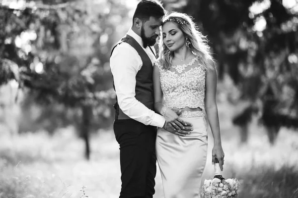 Sensual Foto Blanco Negro Los Novios Elegante Pareja Recién Casados —  Fotos de Stock