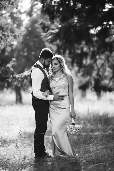 Sensuale Foto Bianco Nero Sposa Sposo Elegante Coppia Sposi Felici — Foto Stock