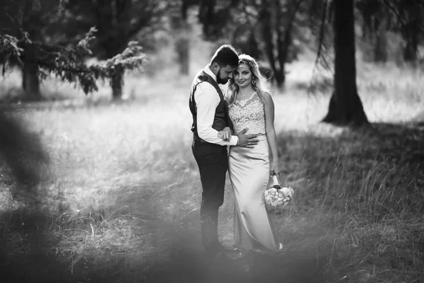 Érzéki Fekete Fehér Fotó Menyasszony Vőlegény Stílusos Pár Boldog Ifjú — Stock Fotó