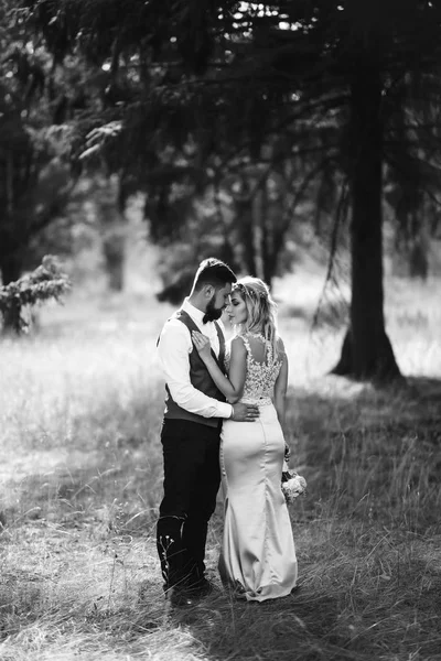 Sensual Foto Blanco Negro Los Novios Elegante Pareja Recién Casados — Foto de Stock