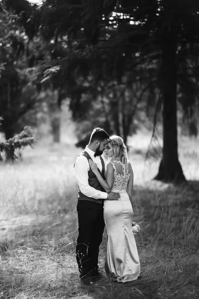 Sensual Foto Blanco Negro Los Novios Elegante Pareja Recién Casados — Foto de Stock