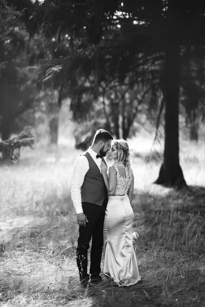 Sensual Foto Blanco Negro Los Novios Elegante Pareja Recién Casados —  Fotos de Stock