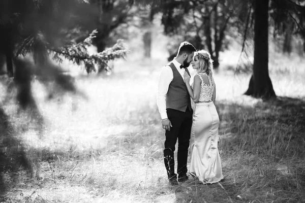 花嫁と新郎の官能的な黒と白の写真 結婚式の日に公園でポーズをとっている幸せな新婚カップル ハンサムなひげそりの新郎は賞賛し かなり花嫁のキス 一緒に — ストック写真