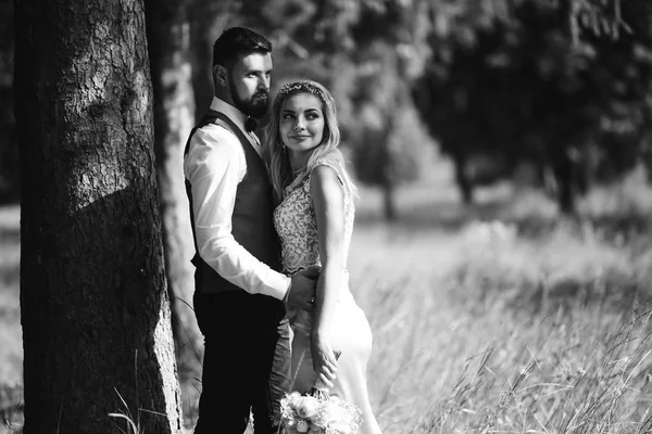 Sensual Foto Blanco Negro Los Novios Elegante Pareja Recién Casados —  Fotos de Stock