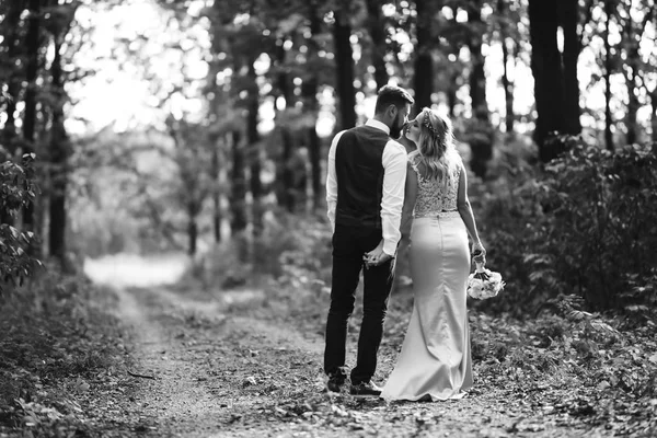 Sensual Black White Foto Bride Groom Stylish Couple Happy Newlyweds — Stock Photo, Image