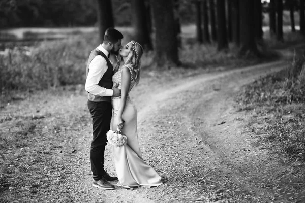 Sensual Foto Blanco Negro Los Novios Elegante Pareja Recién Casados — Foto de Stock