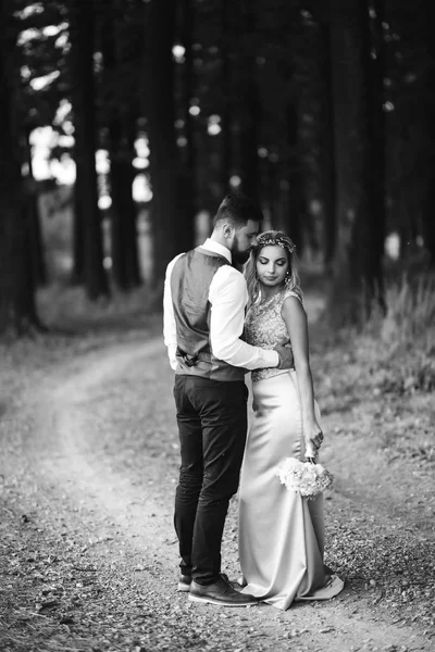 Sensuale Foto Bianco Nero Sposa Sposo Elegante Coppia Sposi Felici — Foto Stock