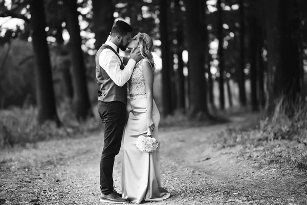 花嫁と新郎の官能的な黒と白の写真 結婚式の日に公園でポーズをとっている幸せな新婚カップル ハンサムなひげそりの新郎は賞賛し かなり花嫁のキス 一緒に — ストック写真