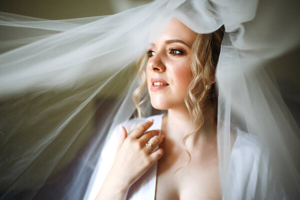 Portrait of beautiful bride with fashion veil at wedding morning. A photo of delicate bride's hands hidden under a veil. Young woman with professional make up and hair style. Wedding day. Marriage.
