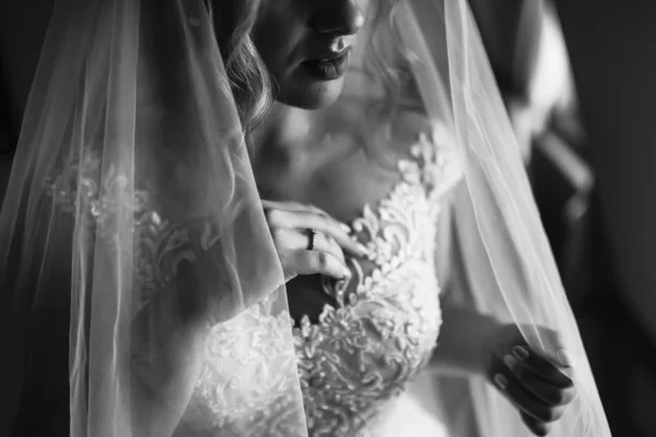 黑白相间 美丽的新娘头戴婚纱 漂亮的女人穿着婚纱 幸福的新婚女人 新娘的婚纱和发型 新娘的早晨 — 图库照片