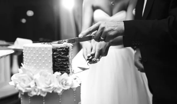 Black and white photo of couple hands cutting wedding cake. Happy bride and a groom is cutting their beautiful wedding cake on wedding banquet. Wedding and celebration concept.