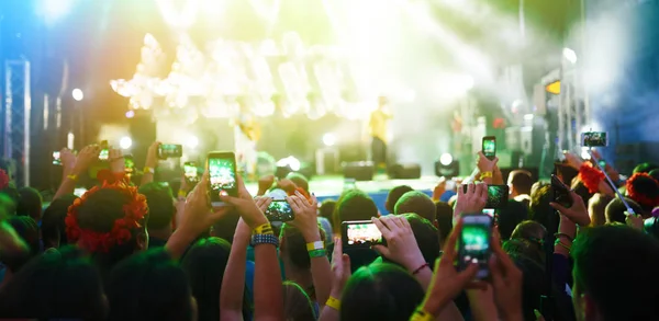 Hand Mit Einem Telefon Platten Live Musik Festival Menschen Die — Stockfoto