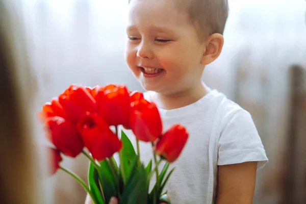 Little son congratulates mother and gives a bouquet of flowers tulips. Happy mother\'s day. Family holiday and togetherness.