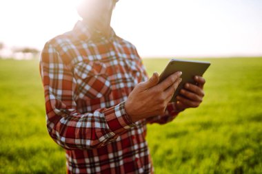 Elinde dijital tabletle çiftçi, tarladaki genç buğdayın durumunu kontrol ediyor. Ufuktaki batan güneş ışınlarının kırsal çayırdaki uzayı kopyalayın. Zengin Hasat.